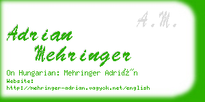 adrian mehringer business card